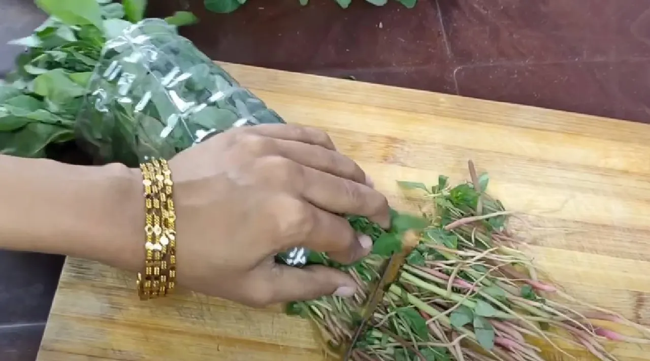 Spinach hack
