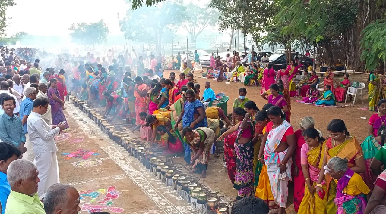 sivagangai 200 years of traditional festival nagarathar sevvai pongal paganeri Tamil News