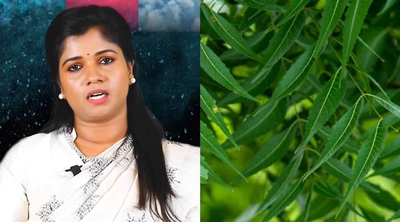 yoga vidhya neem