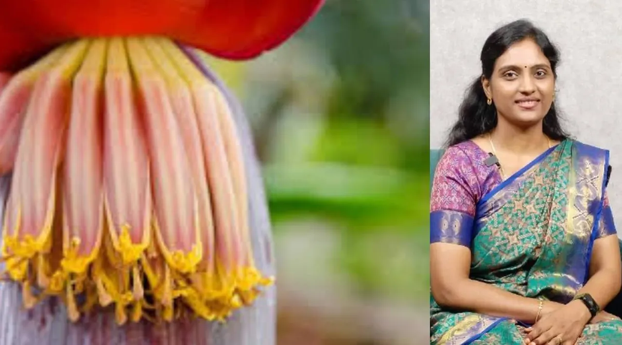 Doctor Nithya