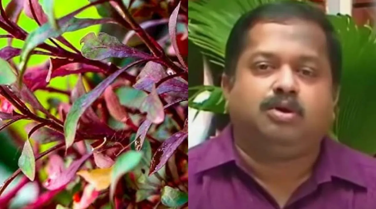sivappu ponnanganni