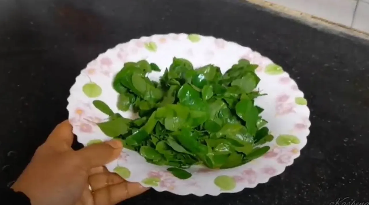 muruganai leaves