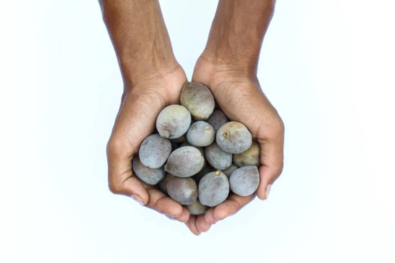 triphala