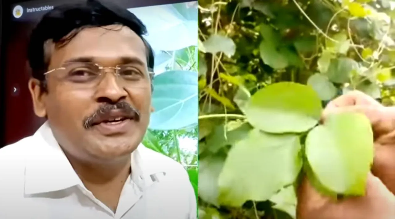 dr karthikeyan kurinjan keerai