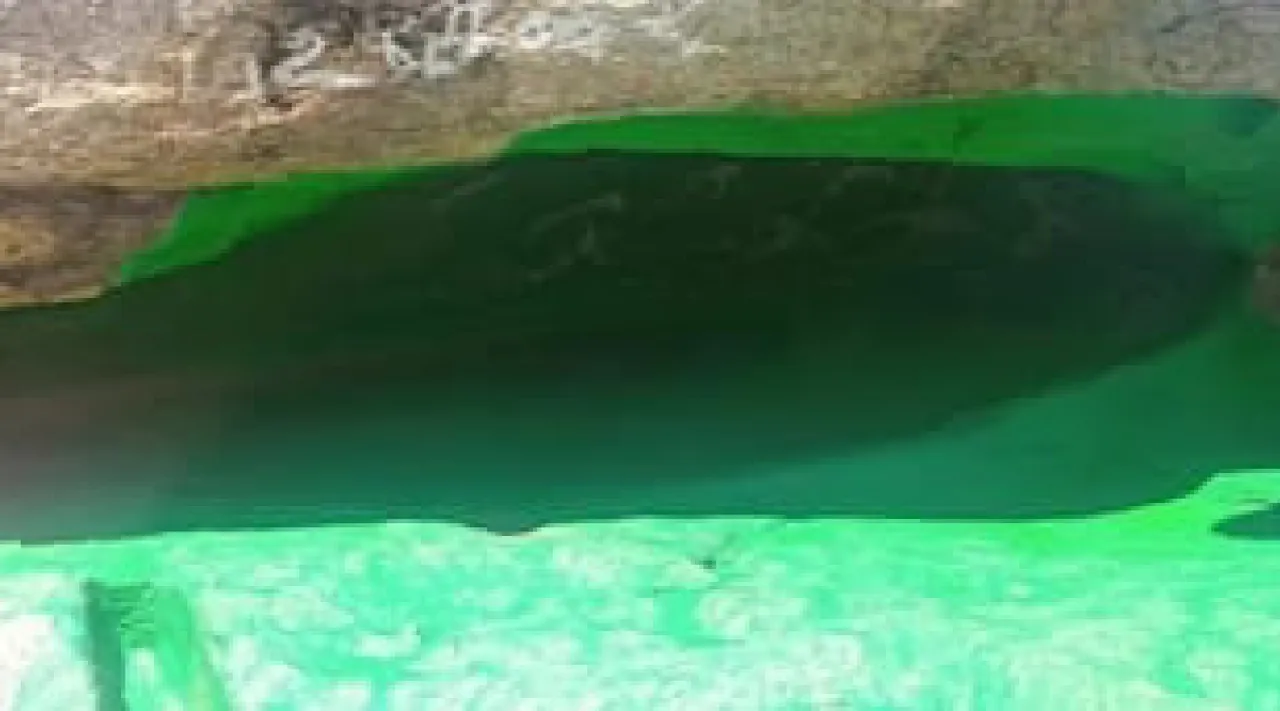 Madurai green paint on the ancient Jain caves Thiruparankundram removed by archaeology officials Tamil News