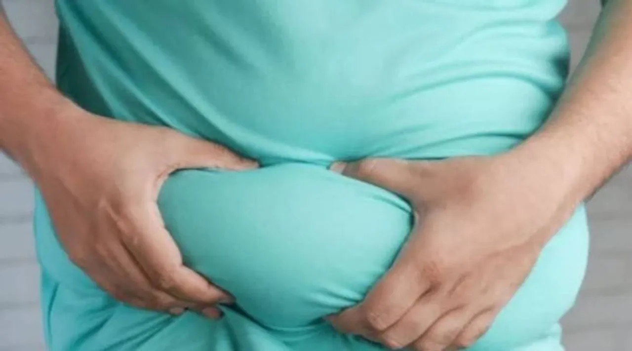belly fat 2