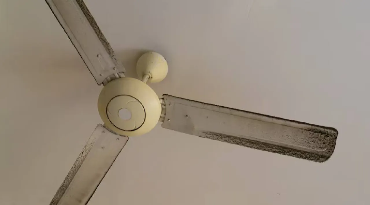 Fan Cleaning
