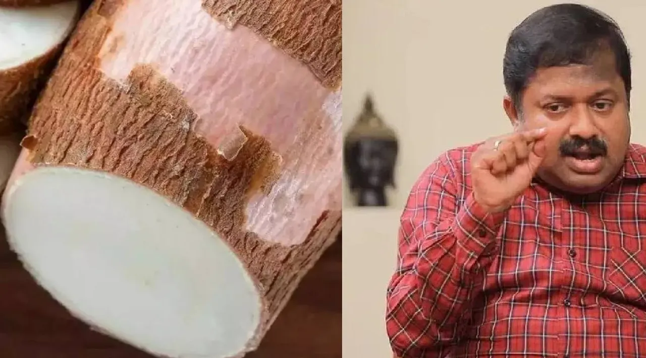 Cassava