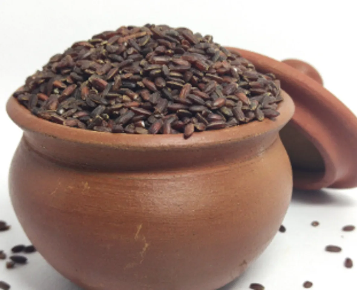 kaattu yanam