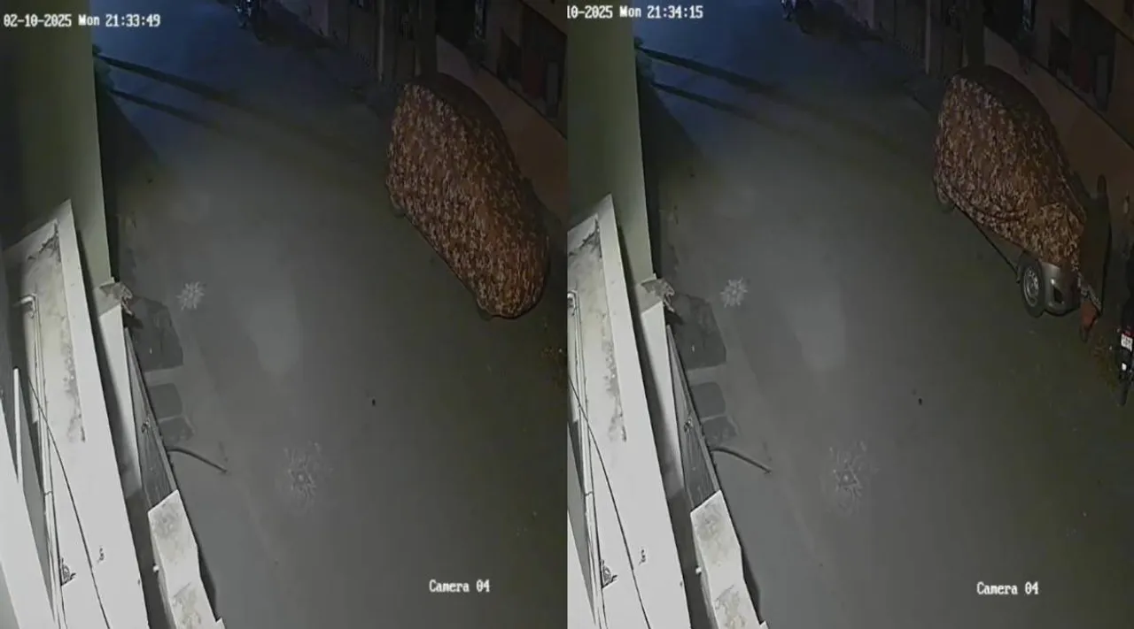 car cover theft