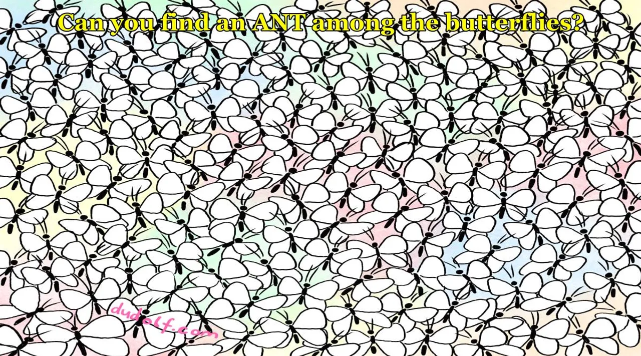 Ant 