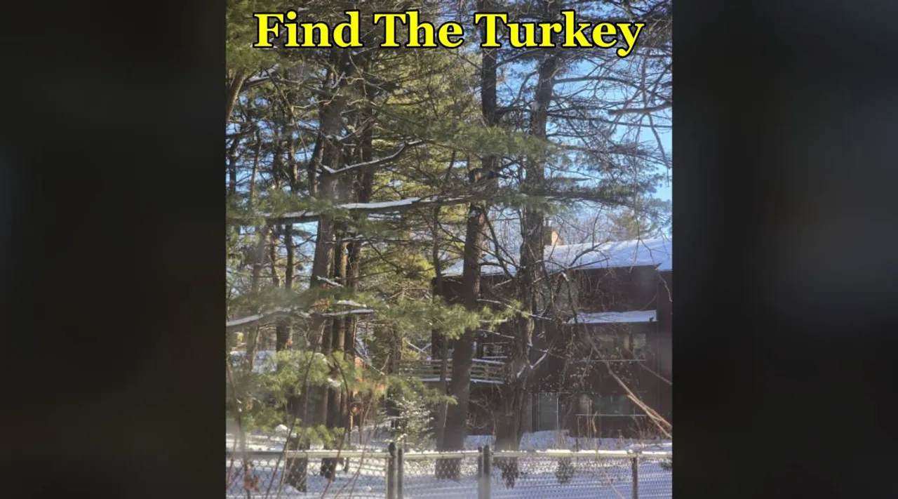 Tukey