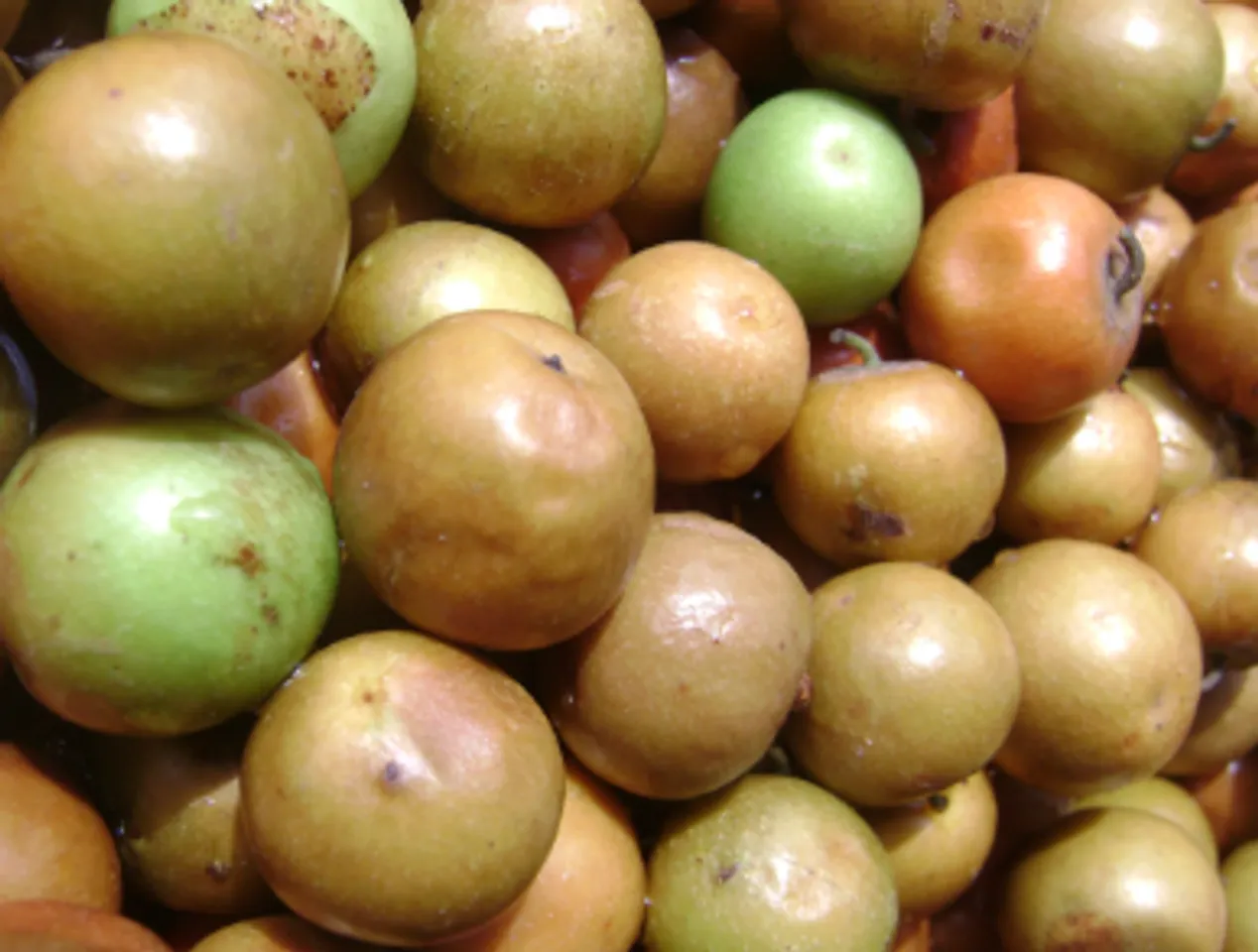 இலந்தைப்பழம்
