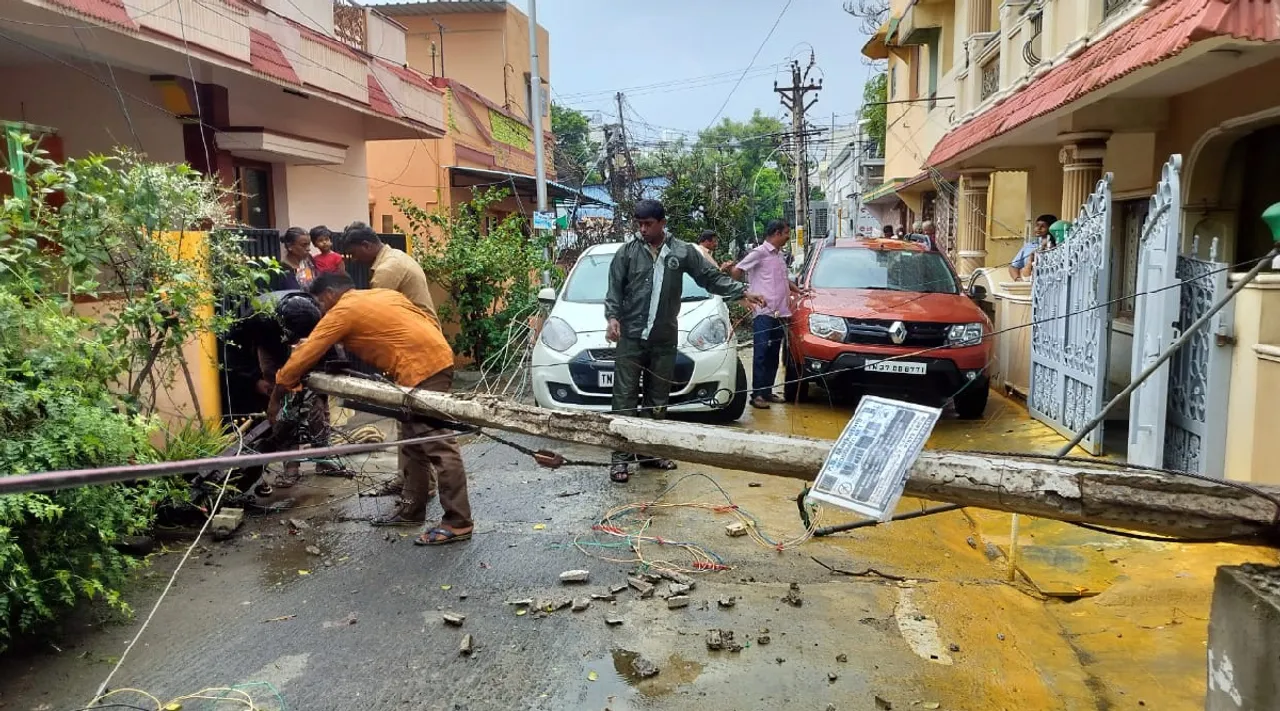 Coimbatore tress fell down on electricity post due to whirlwind Tamil News