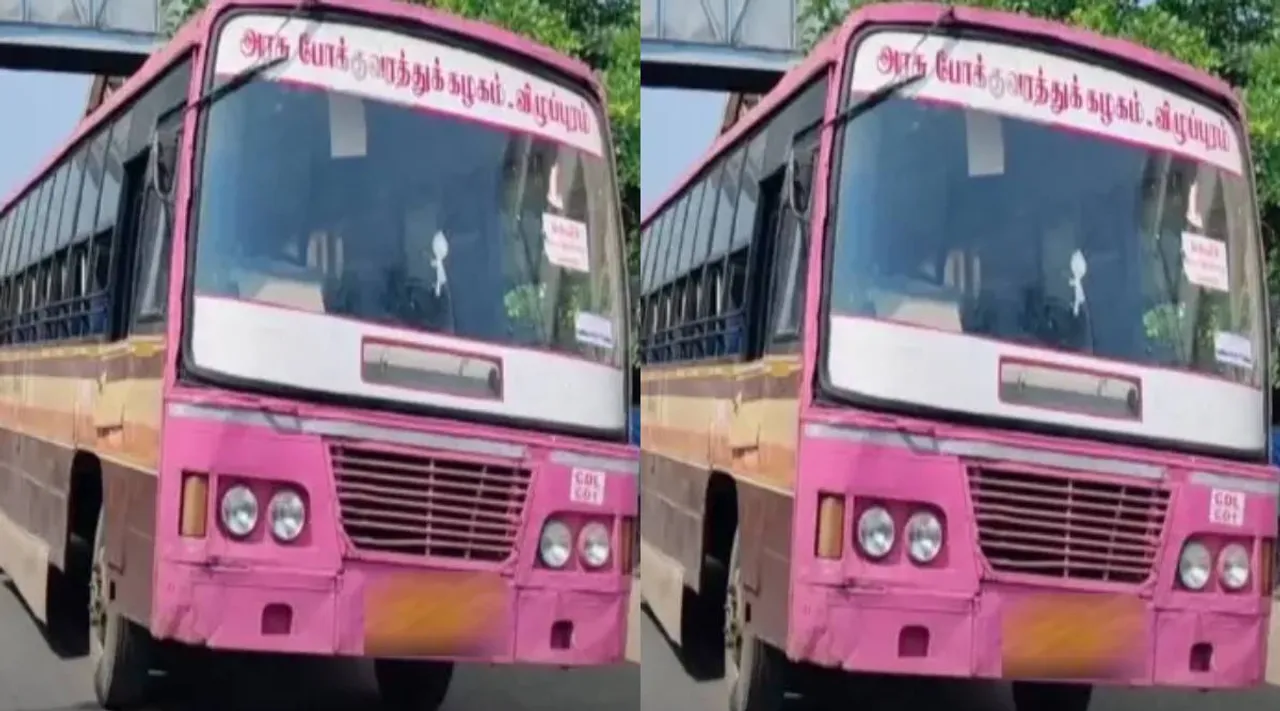 pink bus