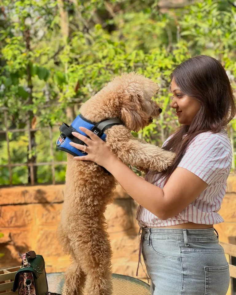 எழுத முடியாத ஒரு கவிதை... பாண்டுவுடன் பிரியங்கா: பெட்லவ் போட்டோஸ் வைரல்!