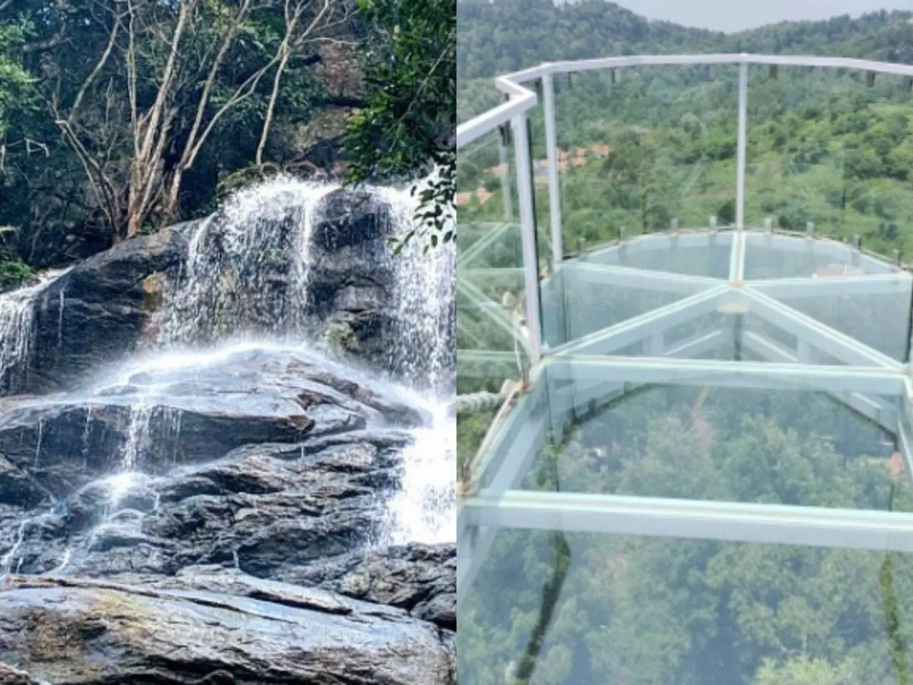 yercaud