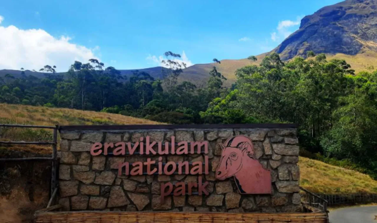 eravikulam national park