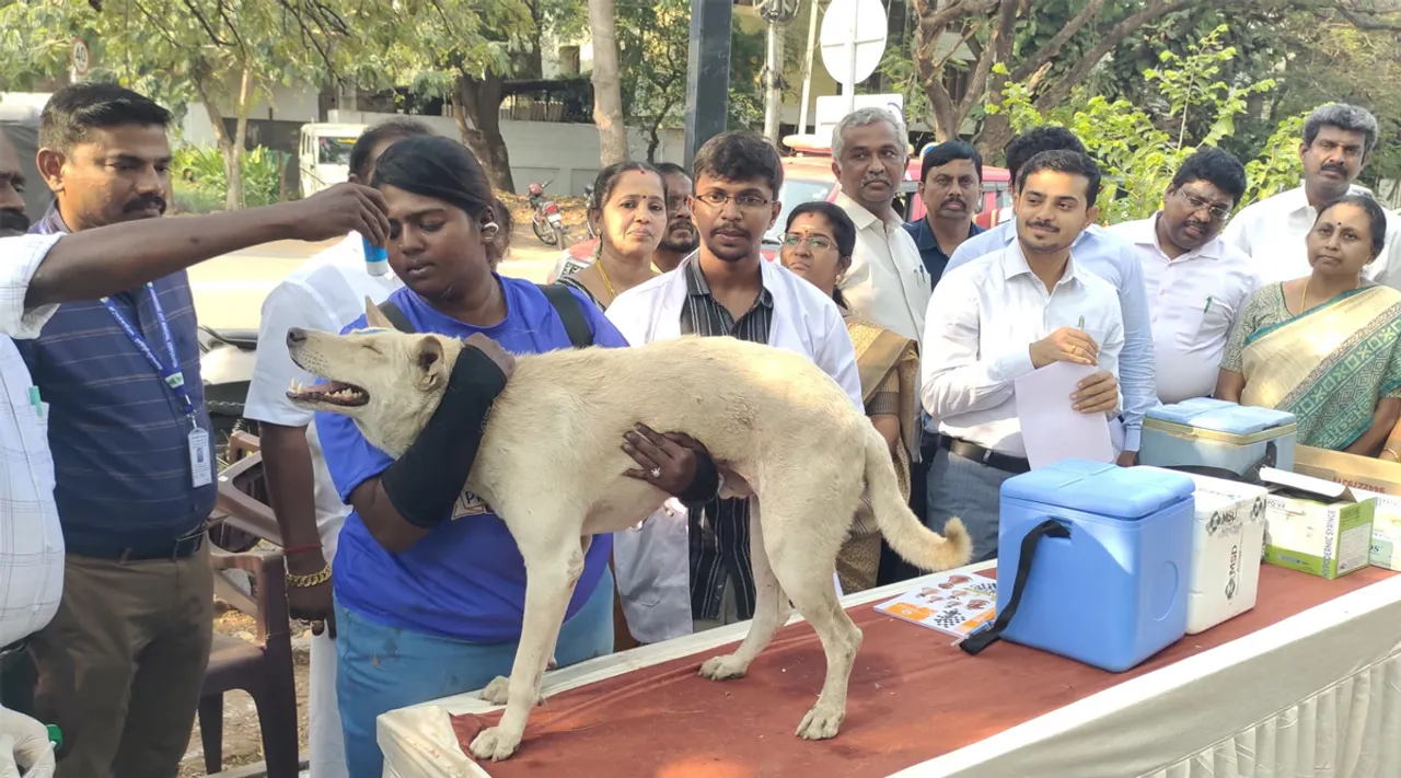 Dogs Injections In Coimbatore