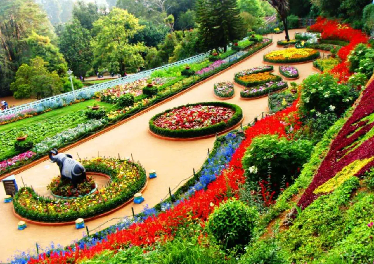 ooty rose garden