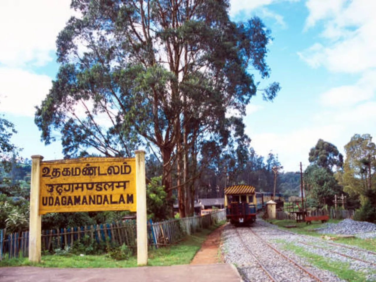 ooty