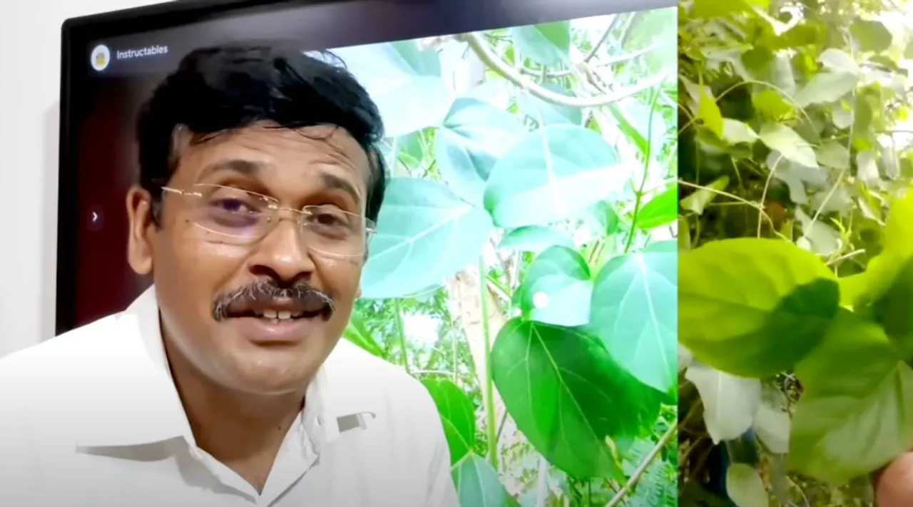 kurinjan keerai karthikeyan 