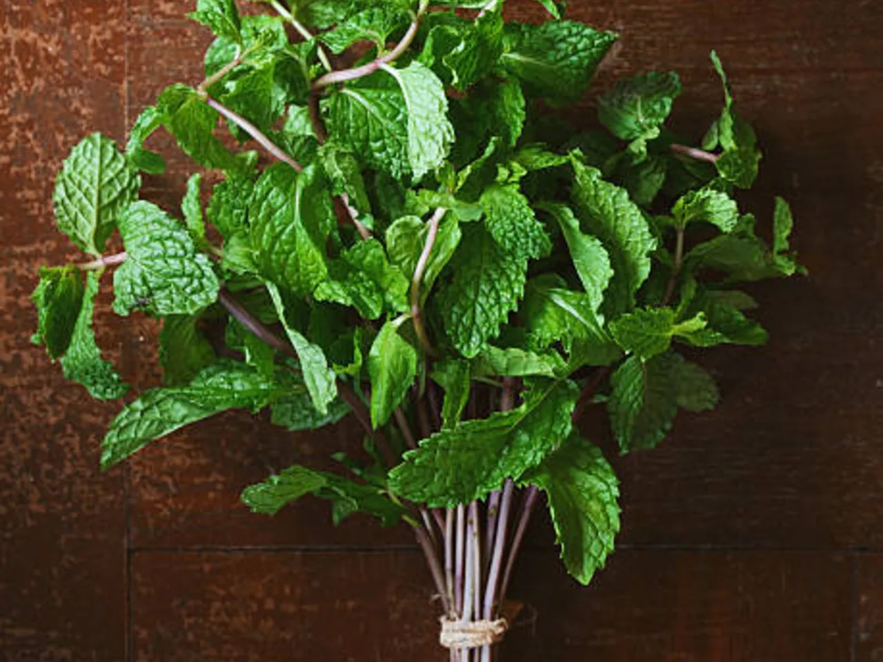 mint leaves