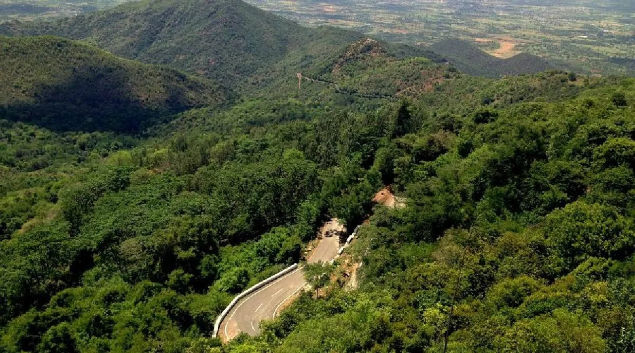 Sirumalai forest