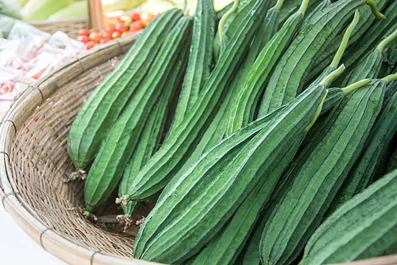 ridge gourd