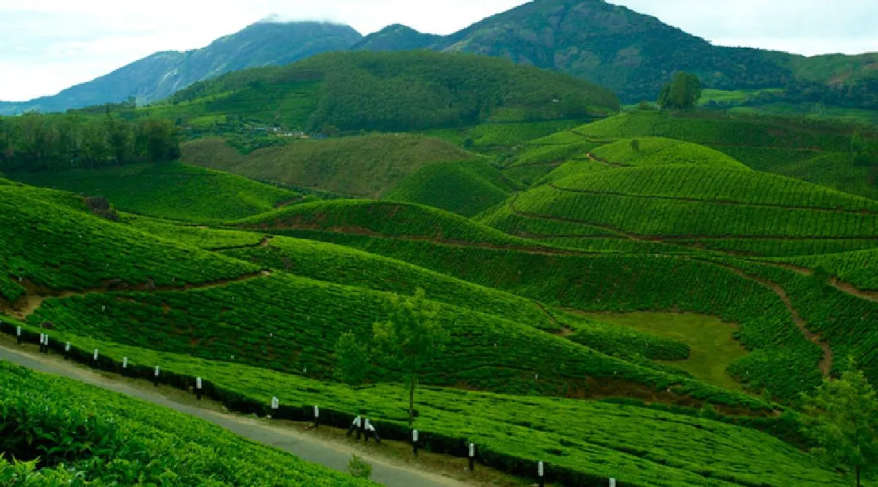 Devikulam hills