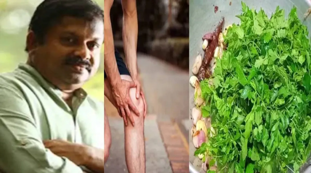 mudakkaththaan keerai 