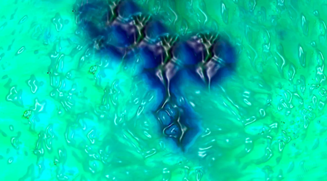 scientists discovered a new olo color