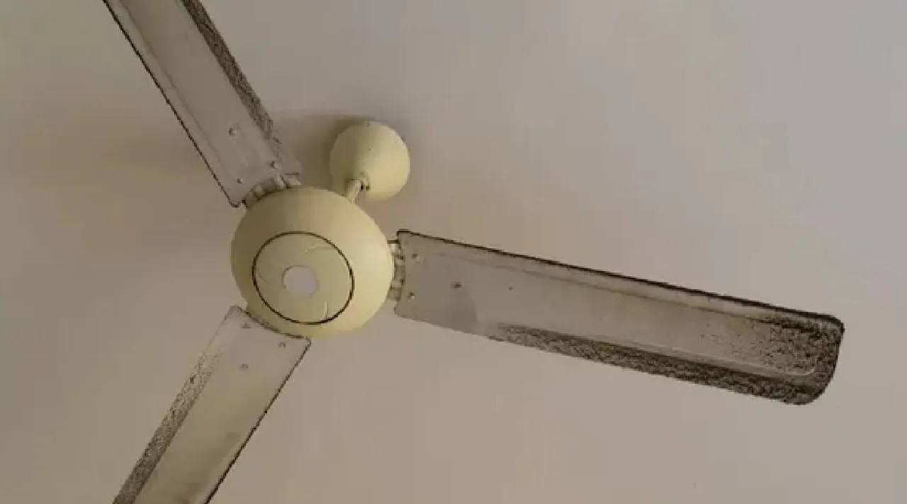 Fan cleaning
