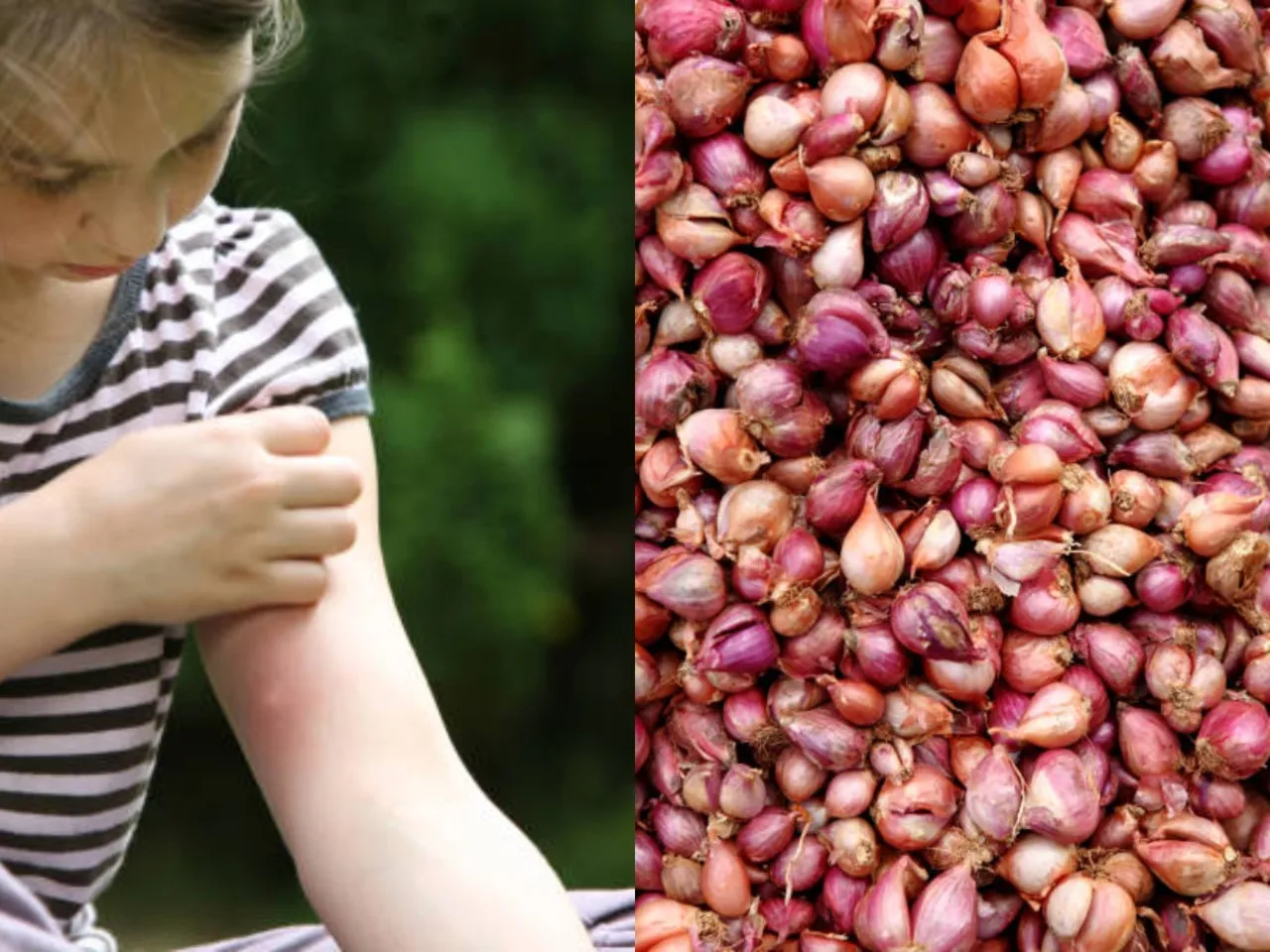 small onion