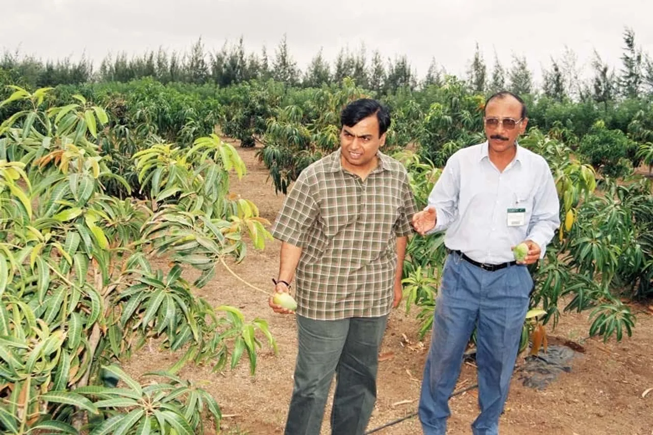 Mukesh Ambani Reliance Mangoes Export