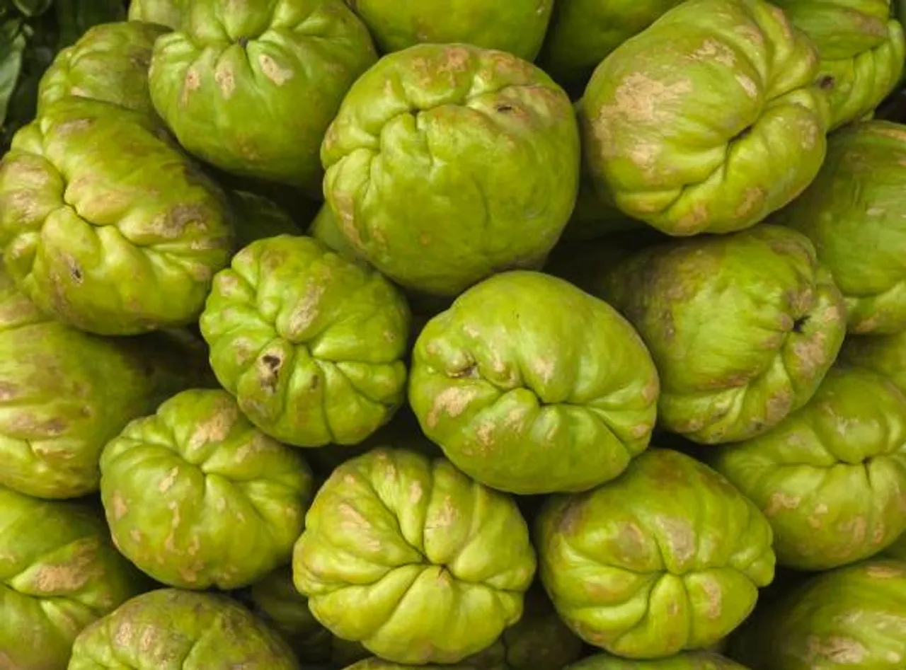 squash