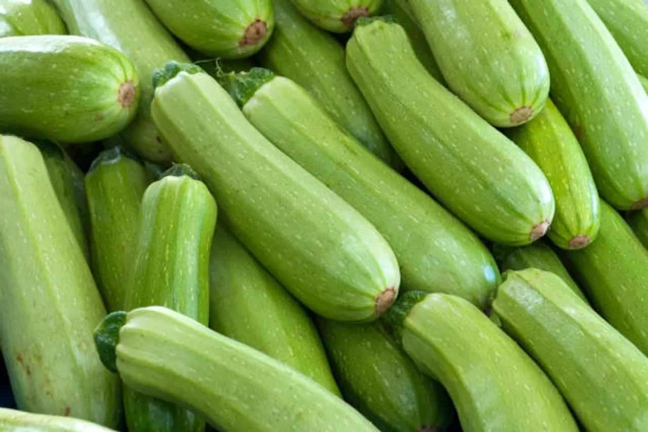 squash