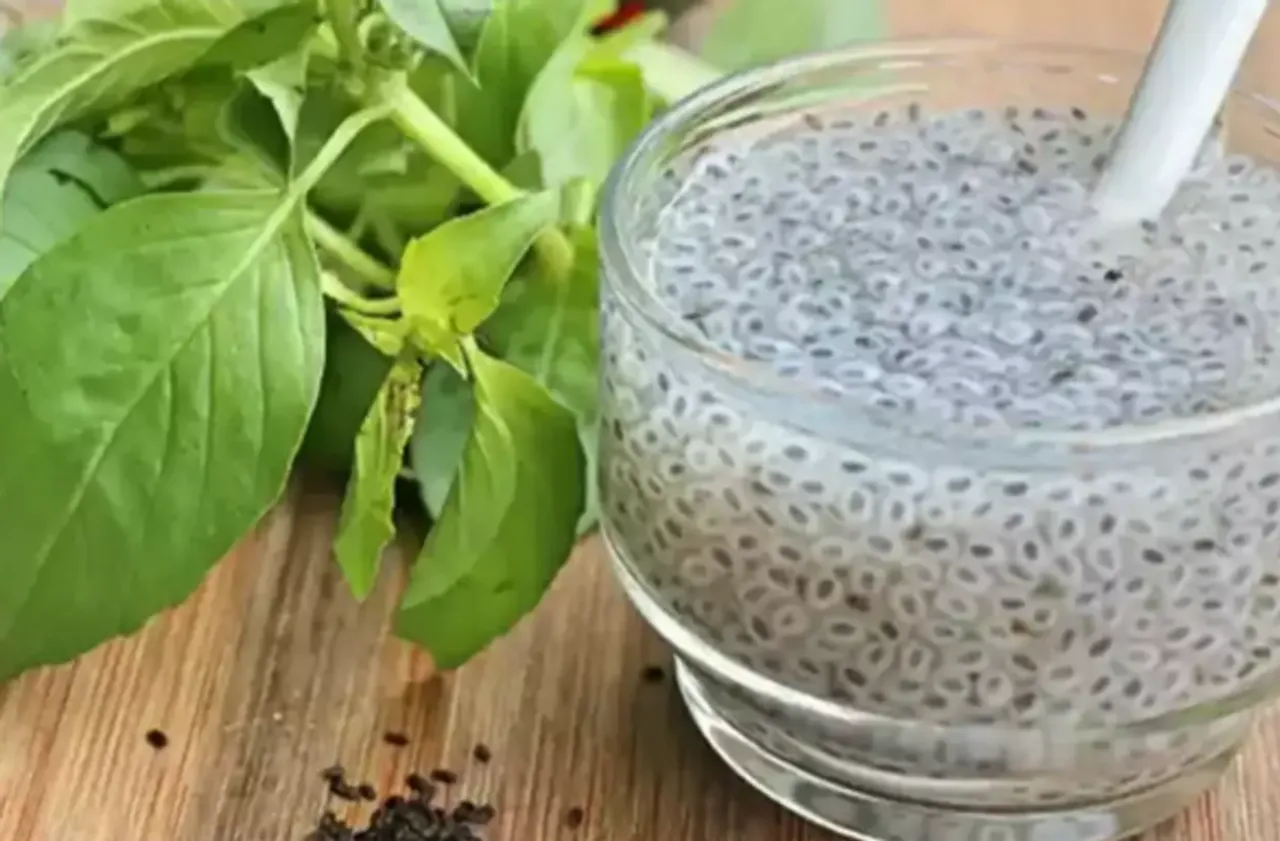 sabja seeds
