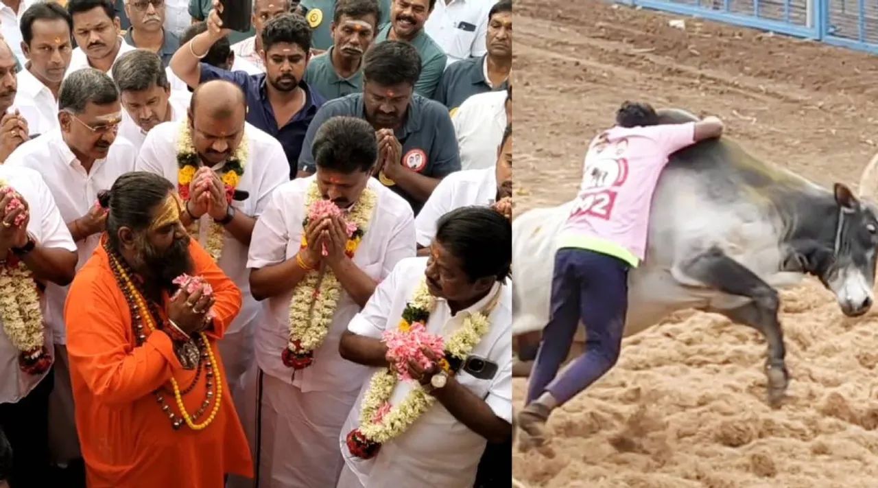 கோவை ஜல்லிக்கட்டு 