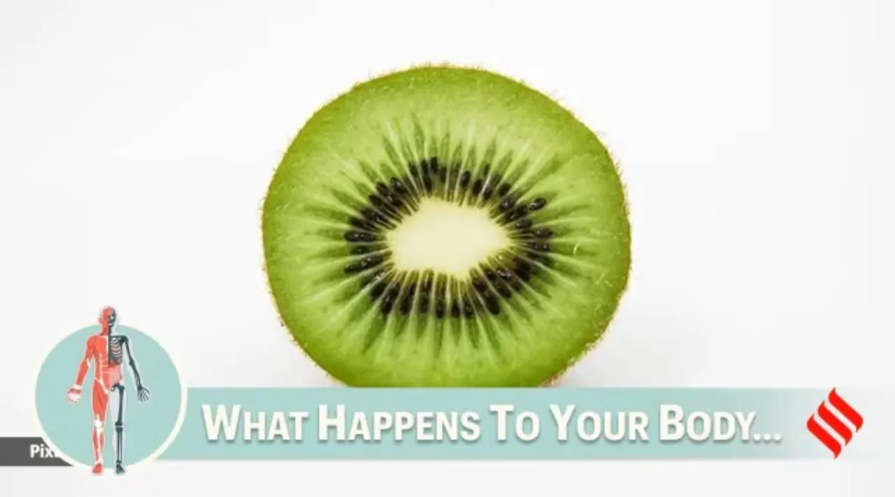 kiwi 