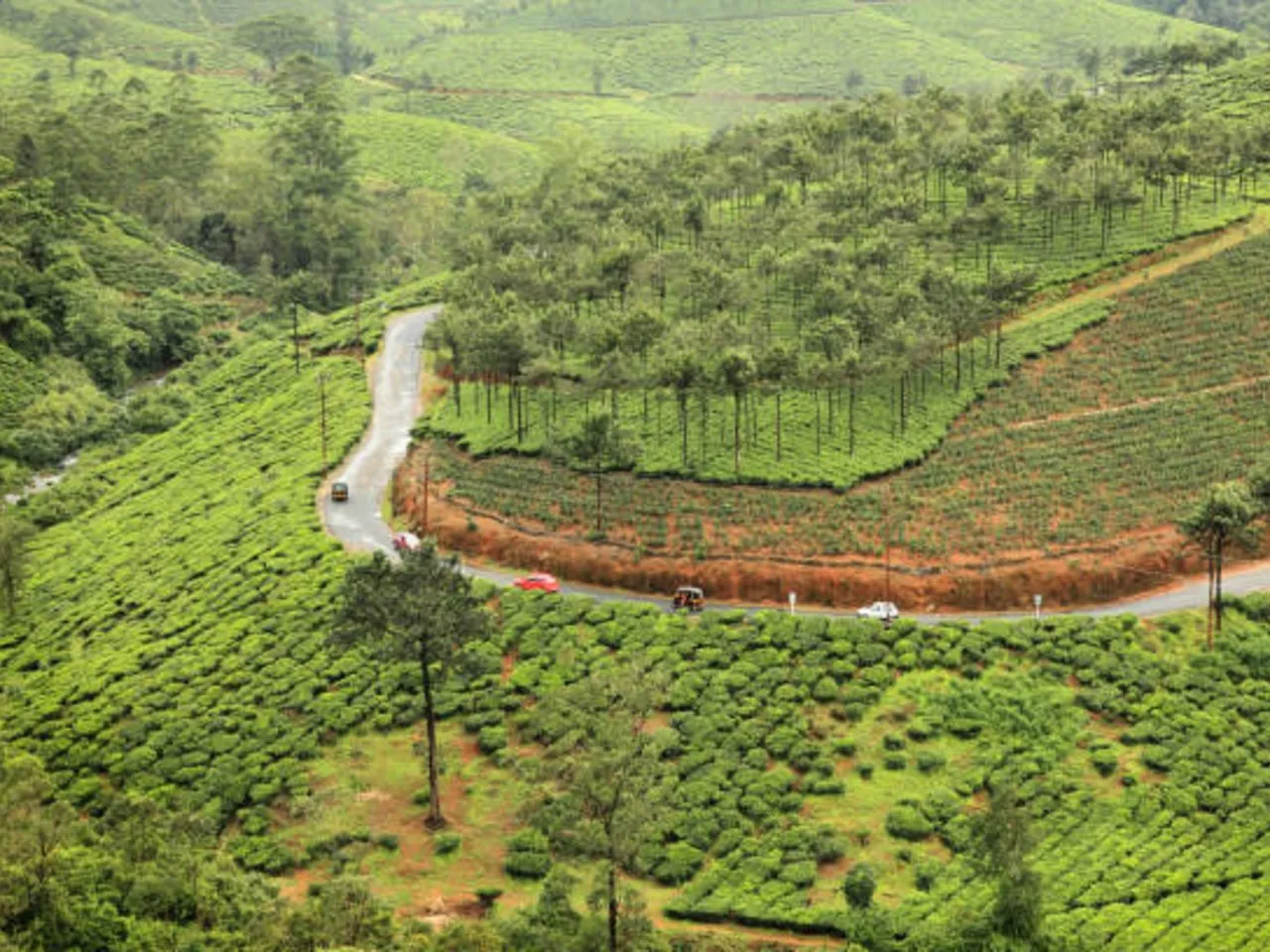 vagamon