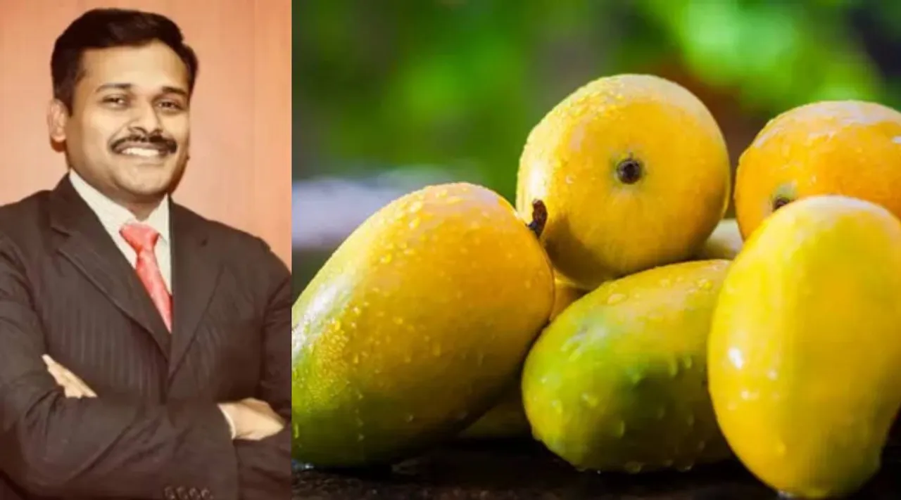 mangao mango 