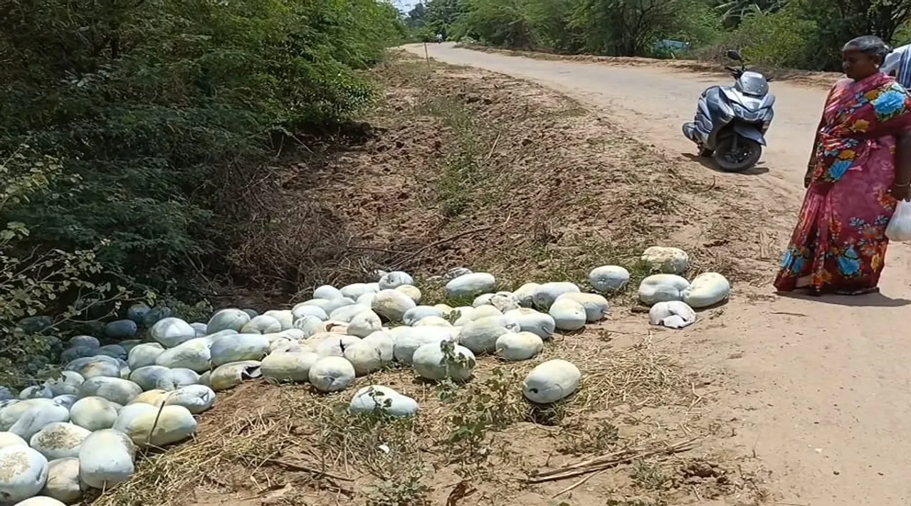 Poosanikm