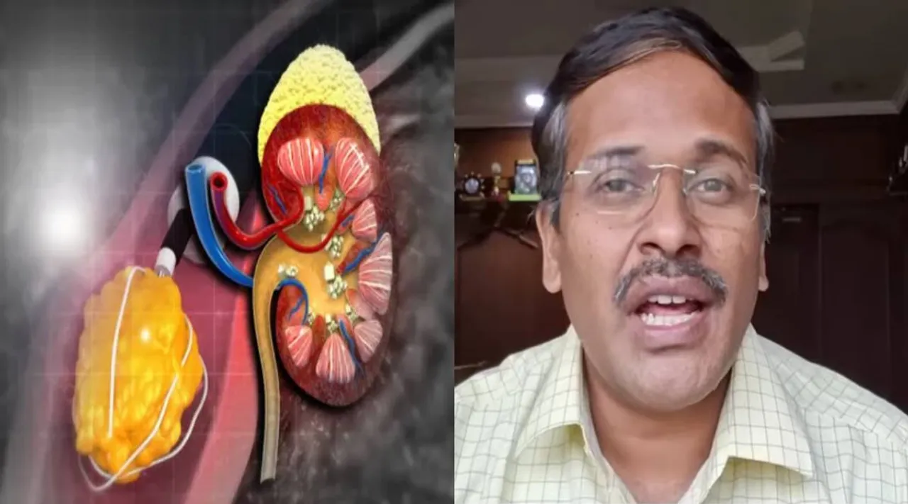 kidney kidney 