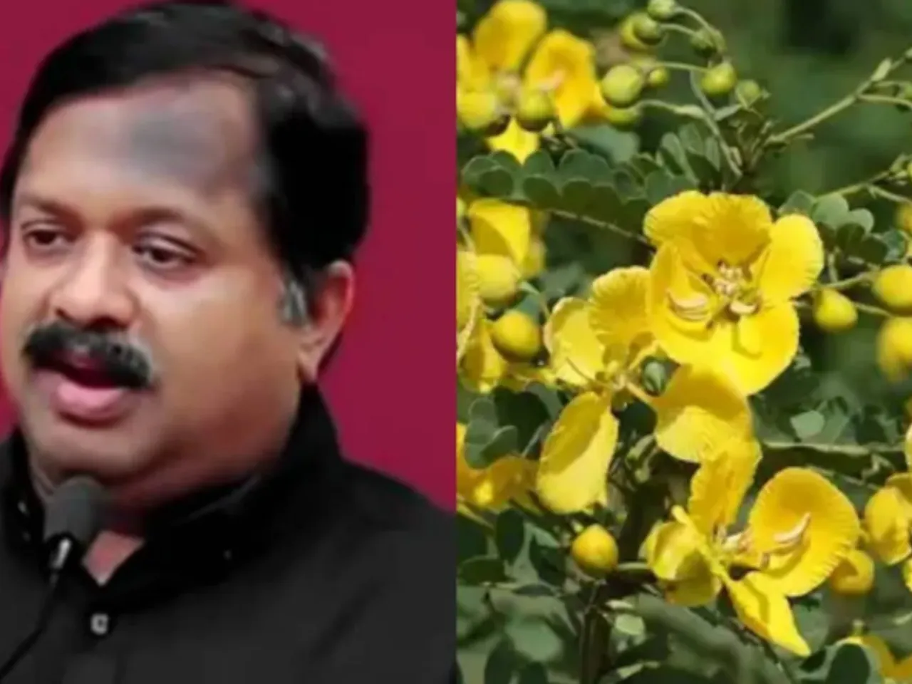 dr sivaraman