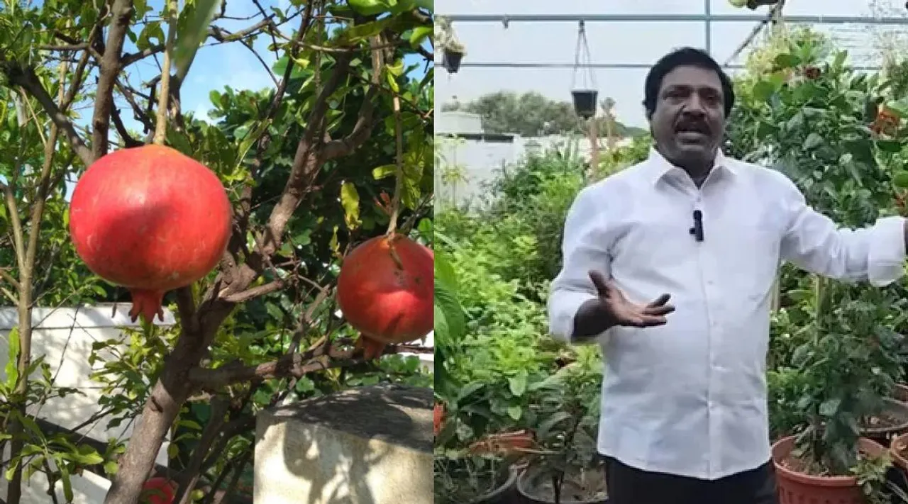 Pushpavanam Kuppusamy