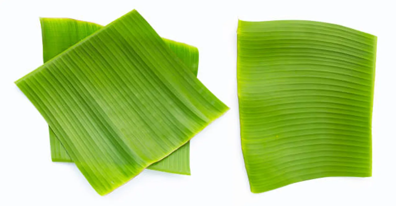 banana leaf