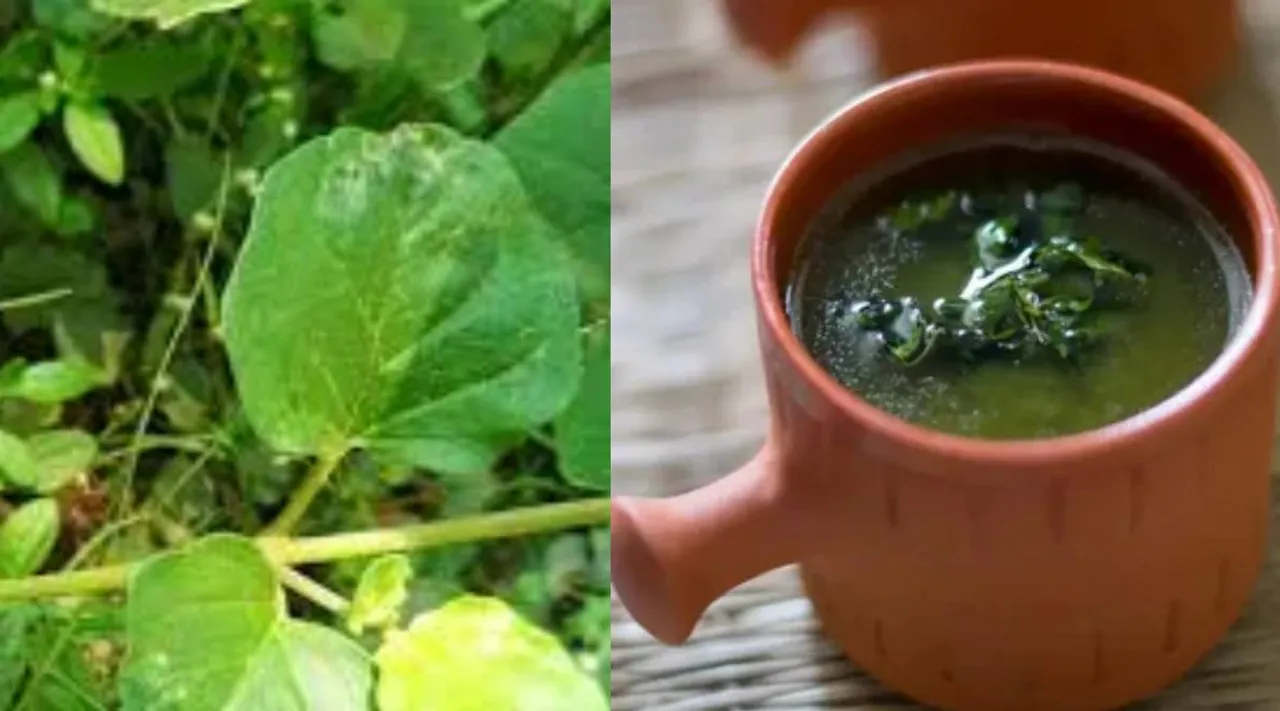 Spinach soup