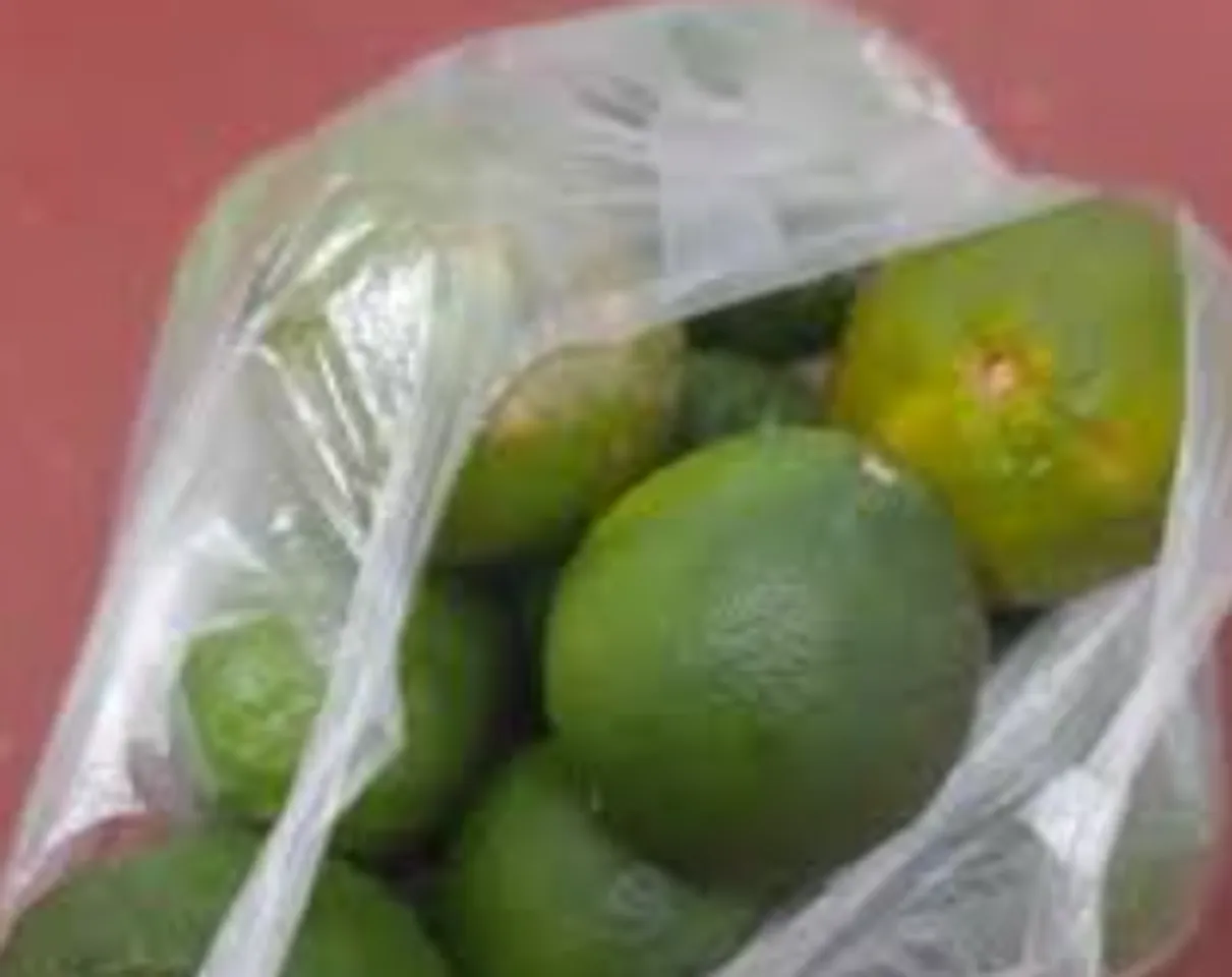 kafir lime