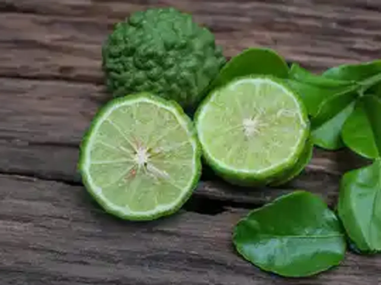 kafir lime